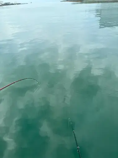 ズッキーニ結婚相談所「夫の趣味の魚釣り、やってみた」- 2
