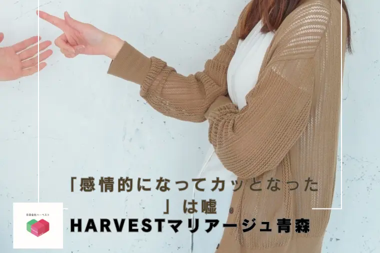 「感情的になってカッとなった」は嘘