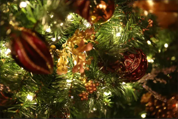 結婚相談所  First「クリスマスまでに恋人が欲しい🎄今からできる行動3選！！」- 2
