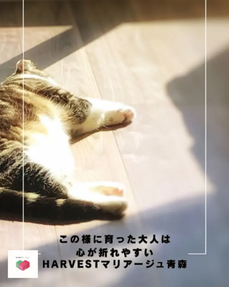 この様に育った大人は心が折れやすい