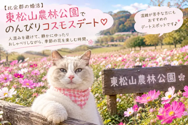 【比企郡の婚活】アプリを使うと近所や知人にバレる？
