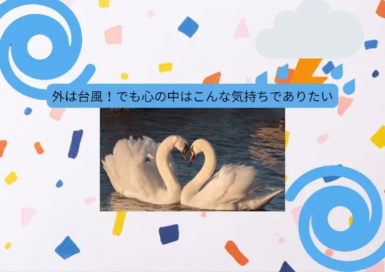 台風や災害の時に頼れる人がいるってすごい安心感！