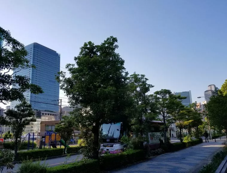 今日から大阪です!