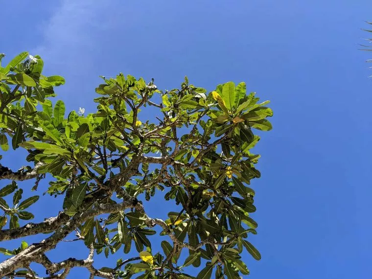 夏はパーティから始めよう。（毎週パーティやってます）