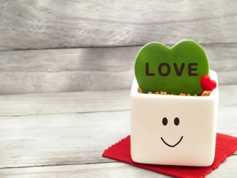 新たに2組が真剣交際に！週末は8組が交際へ💖