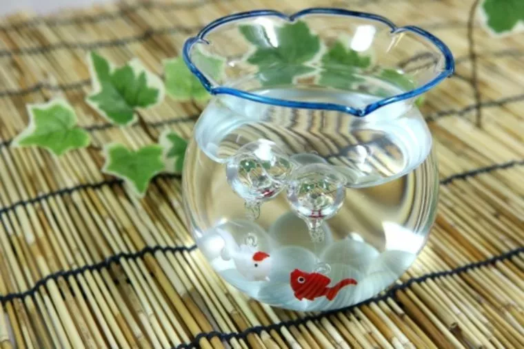 いよいよお盆休み！予定がないなら・・