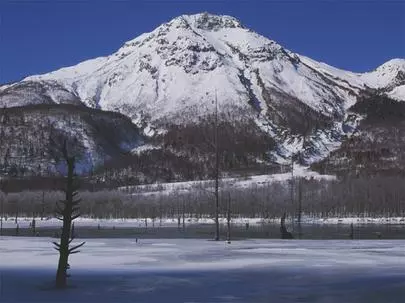 ウイン虎ノ門結婚相談所「プライドが邪魔して結婚相談所を敬遠していた!!!」-3