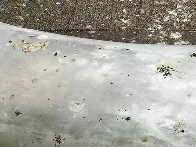 ウェディングマーチ「毎日暑いしか言葉に出来ない💦💧」-2