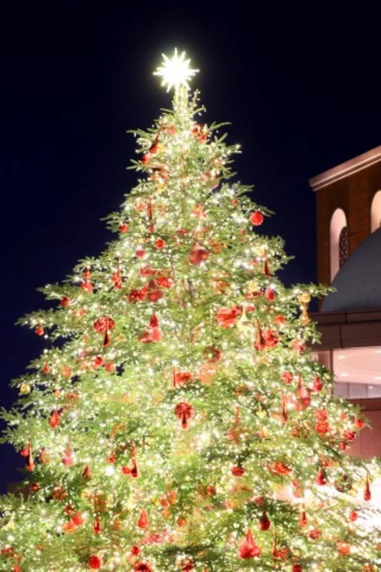 今なら、クリスマスイブに結婚できます！