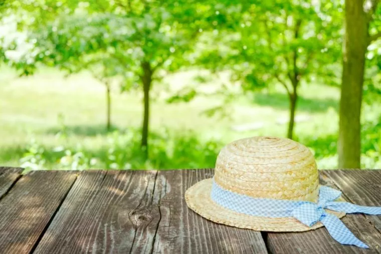 Bridalチューリップ夏季休業のご案内