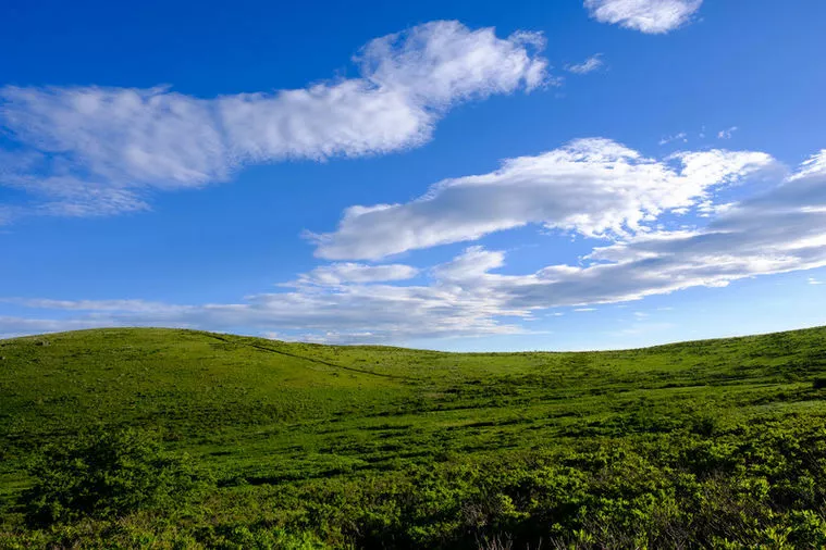 これからは屋外デートです！