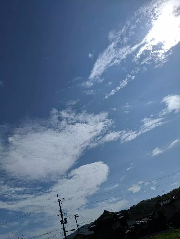 大人の恋