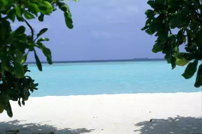 ウイン虎ノ門結婚相談所「婚活して、お見合い時の好感ある姿勢とは!!?」-2