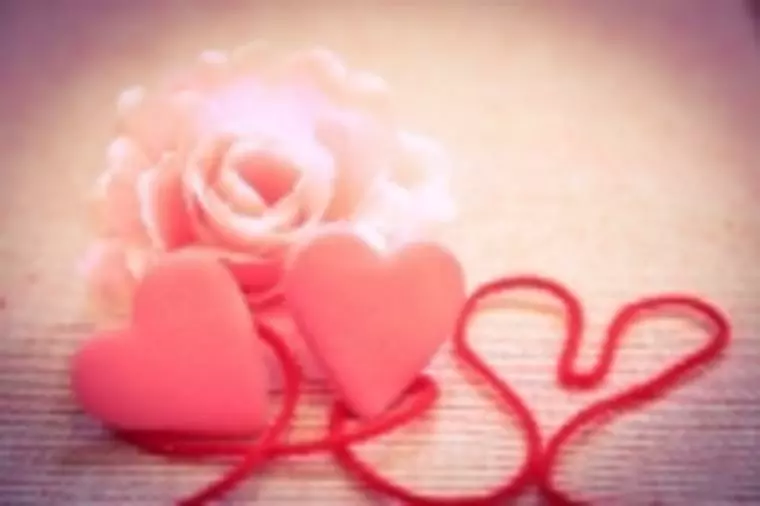 結婚相談所の選び方