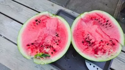 ブランセル「夏のバーベキューで素敵な出逢い＆リフレッシュ」-2