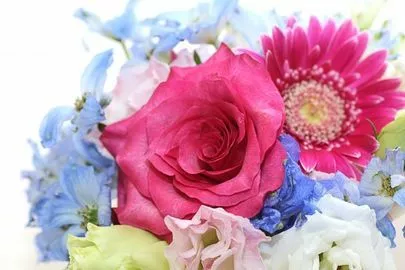結婚相談所ノアーズ・アーク「～真剣交際中～ お相手の誕生日」-3