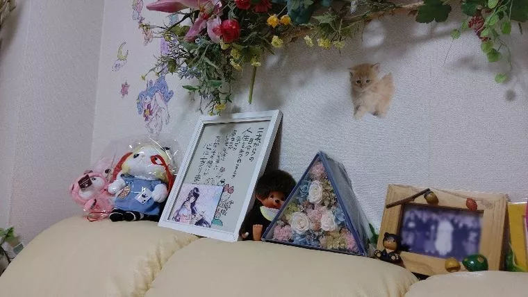 関西でお見合い写真,男性にオススメは❗️
