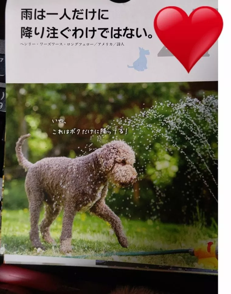 雨はひとりだけに降り注ぐわけではない