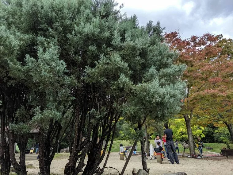 一瞬で見た目の印象を変えるグッズ（男性編）