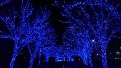 良縁コンシェルジュ町田「私が選んだ東京イルミネーション・ベスト3」-2