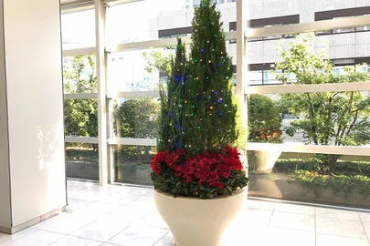 パールウエディング「あっという間にクリスマス！」-4
