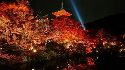 良縁コンシェルジュ町田「デートの写真」-2