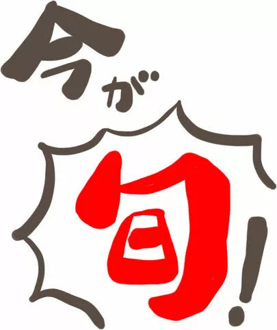 Dear Bride Tokyo「結婚相談所で婚活：知り合って3カ月で告白って短くね？」-3