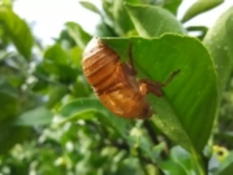 はじめに言葉ありき！