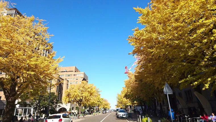 屋外イベントを上手に使って交際を進展させよう