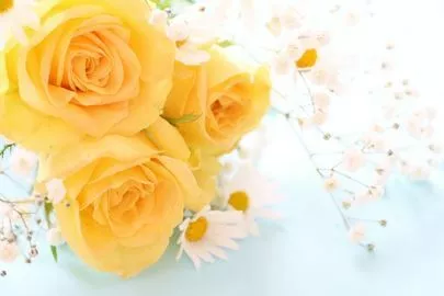 Will Marry（ウィルマリー）「男の婚活法vol.14「失敗しないトーク術（趣味編）」」-2