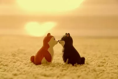 Dear Bride Tokyo「お見合いで結婚する。って恋愛しないで結婚するってこと？」-2