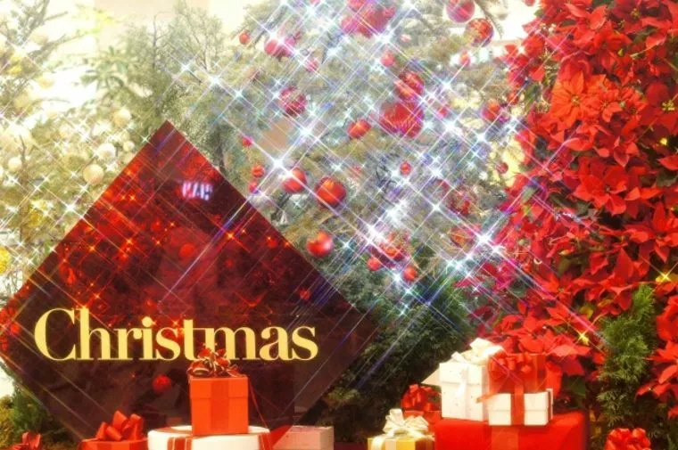 ベストなクリスマスデートプランです♬