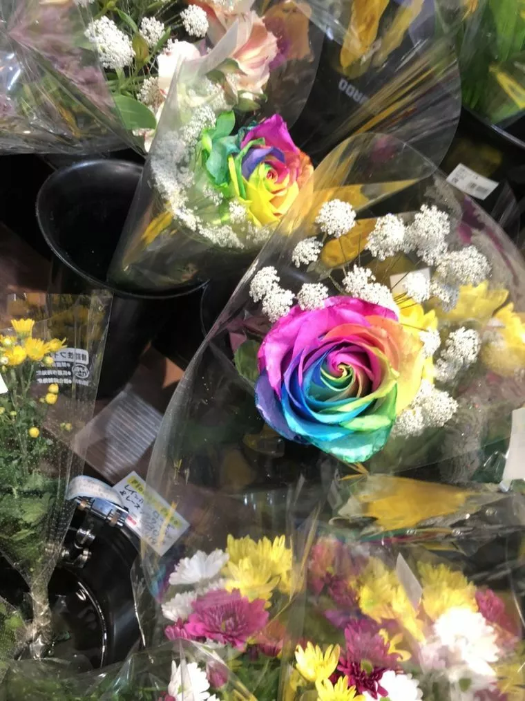 50代の婚活
