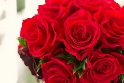 ブライダルサロンbouquet「【祝】海外メインの男性会員様：交際３カ月でご成婚」-4