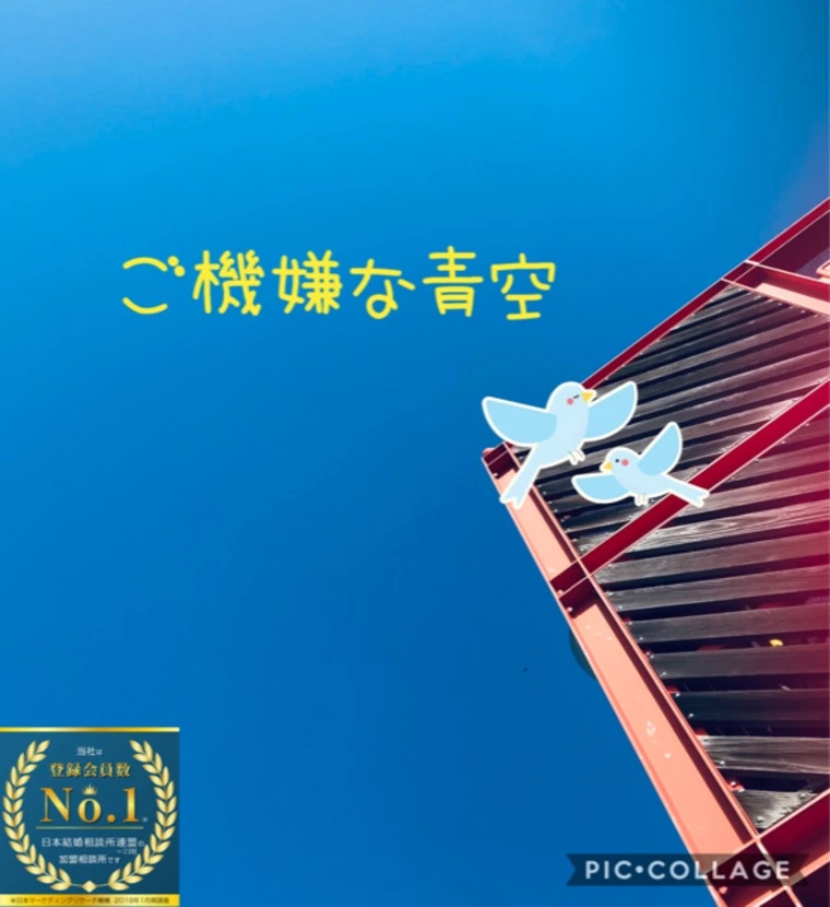 お見合い写真に品格を・・・!(^^)!