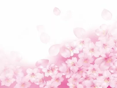 Dear Bride Tokyo「なんで？男ってひとつのコトしか出来ないの苦笑」-5