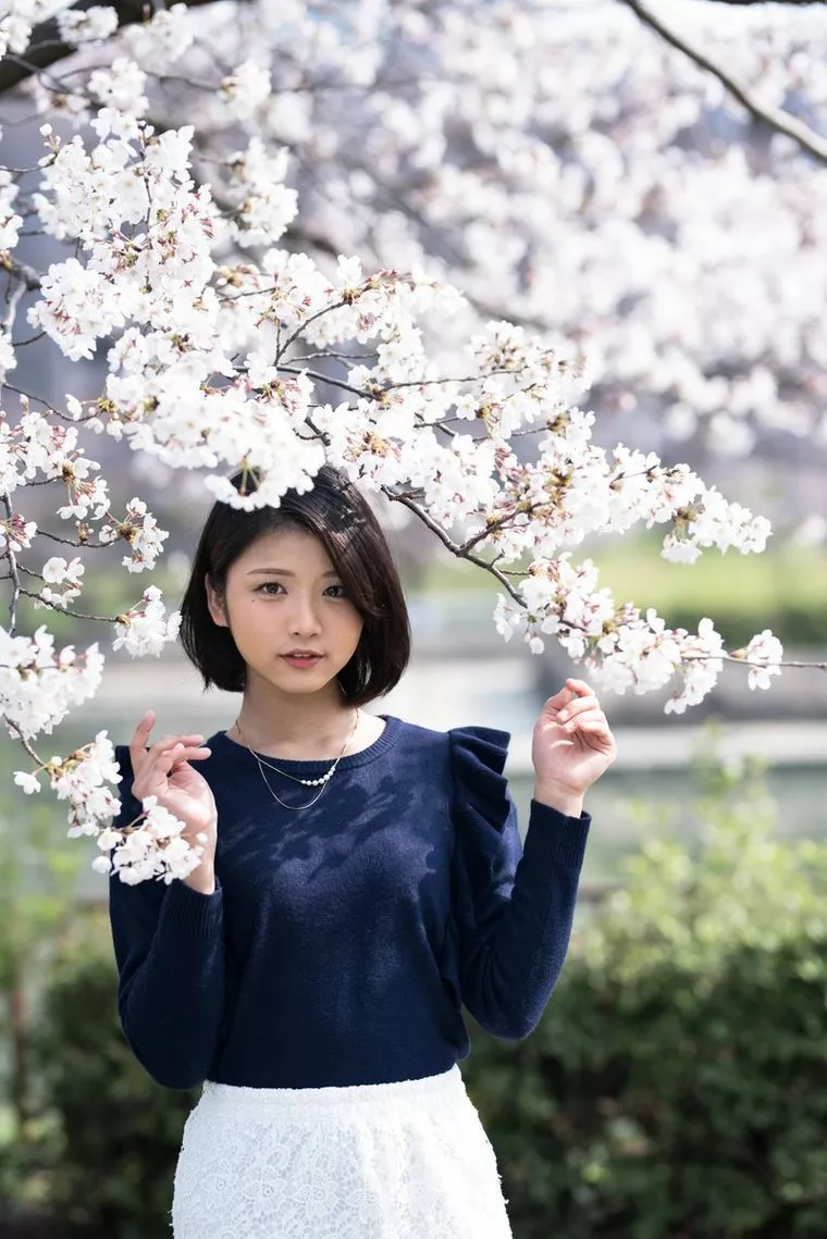 桜を観に行こう！