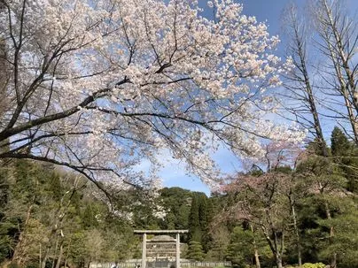 Will Marry（ウィルマリー）「今月4件目のご成婚！旅行大好き48歳男性会員Tさん。」-2