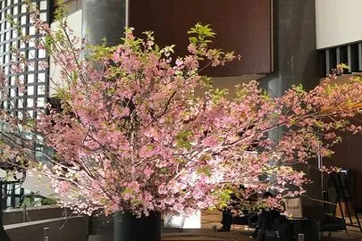パールウエディング「渋谷で婚活☆花盛り♪」-3
