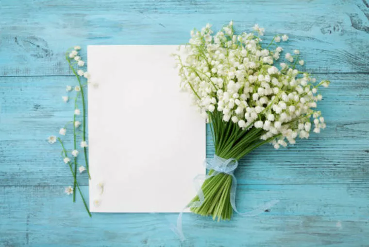 結婚相談所に入会してみようか？迷っている方へ