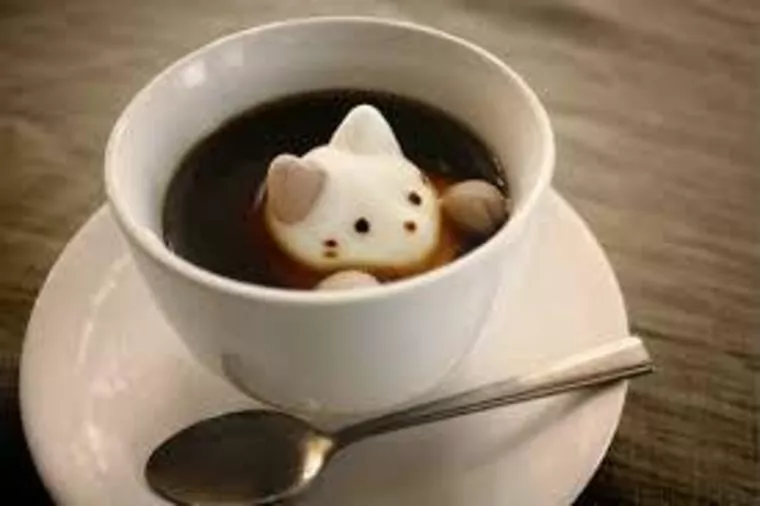 恐怖のお見合い！