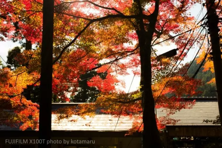 紅葉真っ最中の「恋人の聖地」へ！