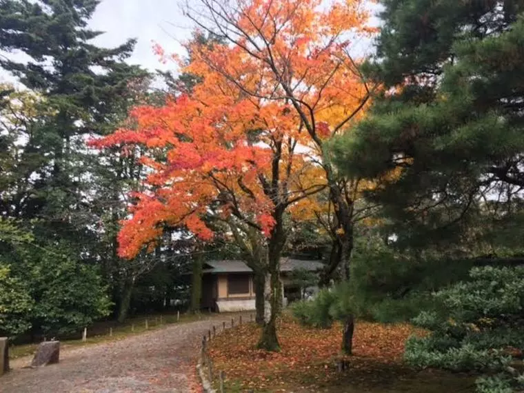 成婚に至るまで