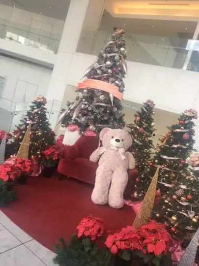 グッドラックステージ「三ヶ月の交際で結婚相手を決断する」-2