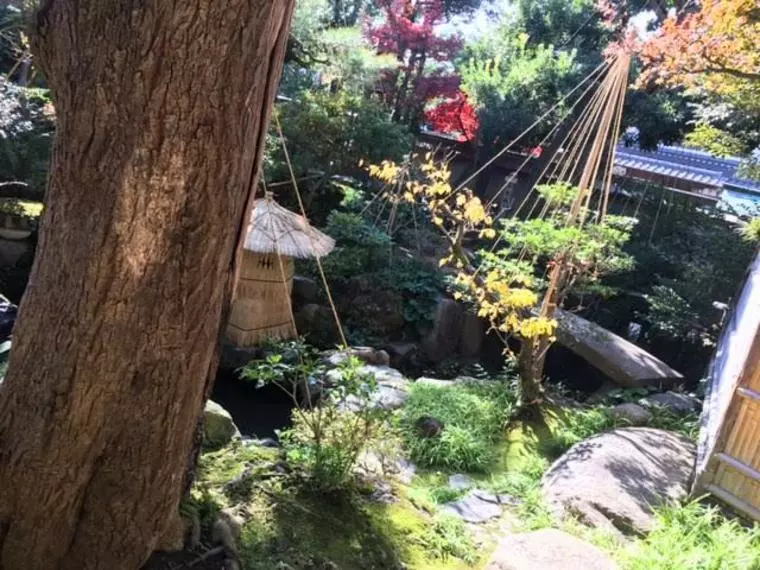 三ヶ月の交際で結婚相手を決断する