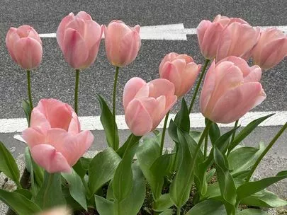 ウェディングマーチ「静かなこどもの日💧💧」-3