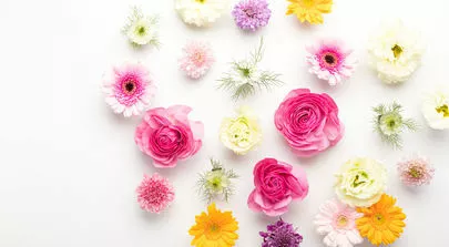 スターマリアージュ青山「これだけ！？婚活がうまくいかない人といく人の決定的な違い」-2