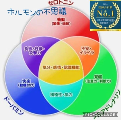 えひめ結婚相談所カメリア「おはようございます！」-2