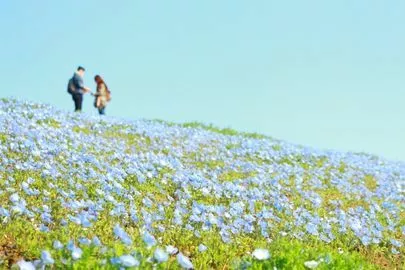 Will Marry（ウィルマリー）「男の婚活法vol.36「ご成婚に繋がるデートの頻度は？」」-2