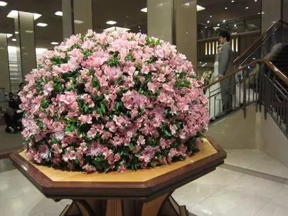 グッドラックステージ「お見合いでＯＫ返事をしたものの会う気持ちが下がった時」-2